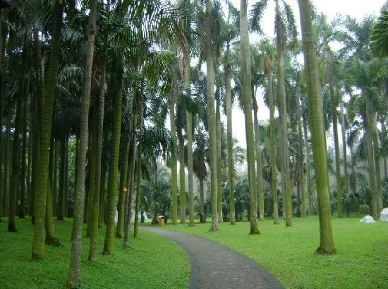 Southern China Botanical Garden